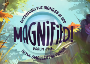 Magnified VBS 2025